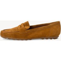 Moccassin