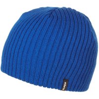 Wilbert Beanie by Barts