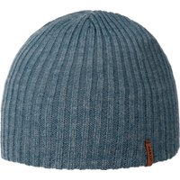 Wilbert Beanie by Barts