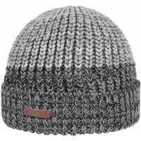 Arctic Beanie by Barts